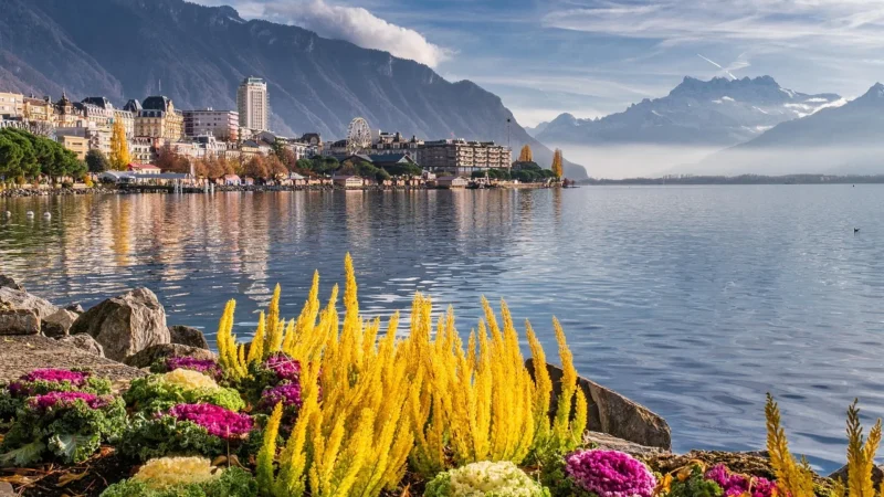 Axor MONTREUX lustro kosmetyczne kolor nikiel szczotkowany 42090820