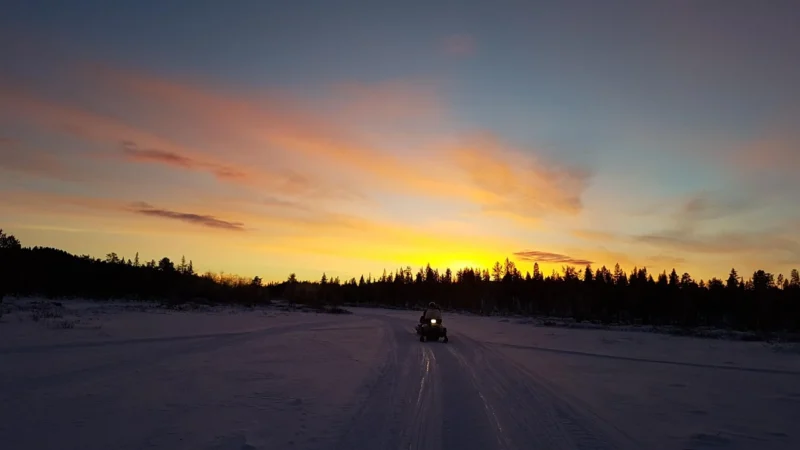 Ekodom Łóżko Kiruna Drewniane 140X200 Olcha Naturalna Szuflada Cała Długość