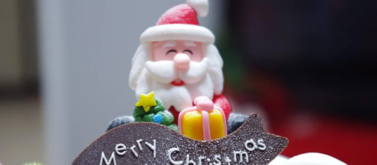 FDM Claus 90×200