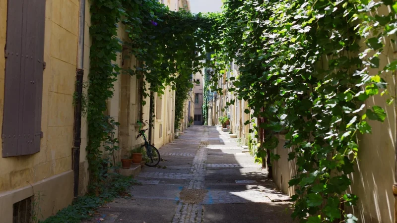 Frankhauer Arles 120×200