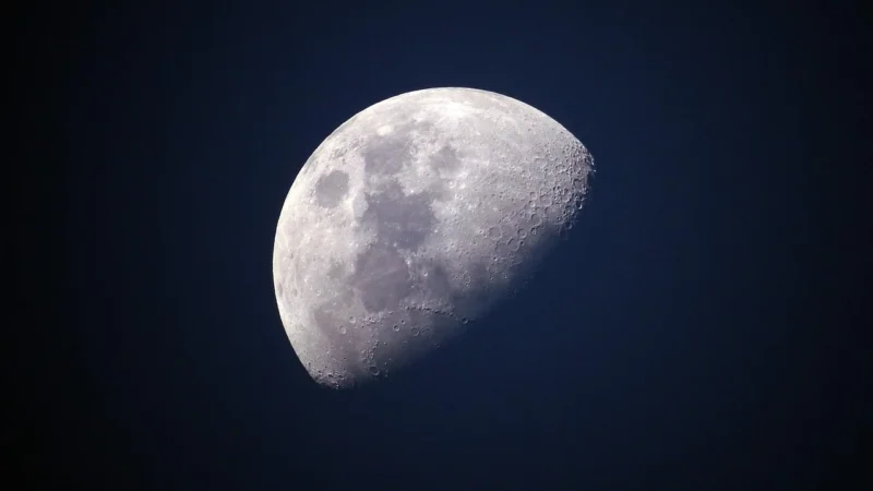 Godre Luna Molet Max Plus 75×140 cm H2