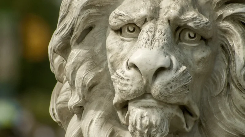 Home Styling Collection Lustro Dla Dzieci Lion 58 Cm Ścienne nb1990010lion