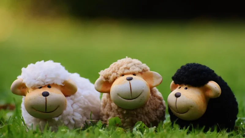 Home Styling Collection Lustro Dla Dzieci Sheep 58 Cm Ścienne nb1990010lama