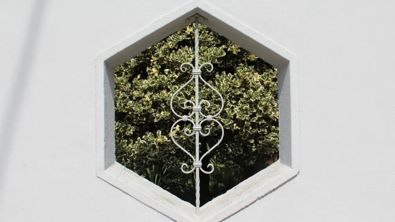 Homede Mirror Hom Ebi Black 54×47,5×3