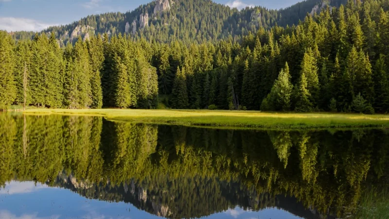Lenart Meble Szafa Dwudrzwiowa Przesuwna Z Lustrami Arti Ar 14 Biały