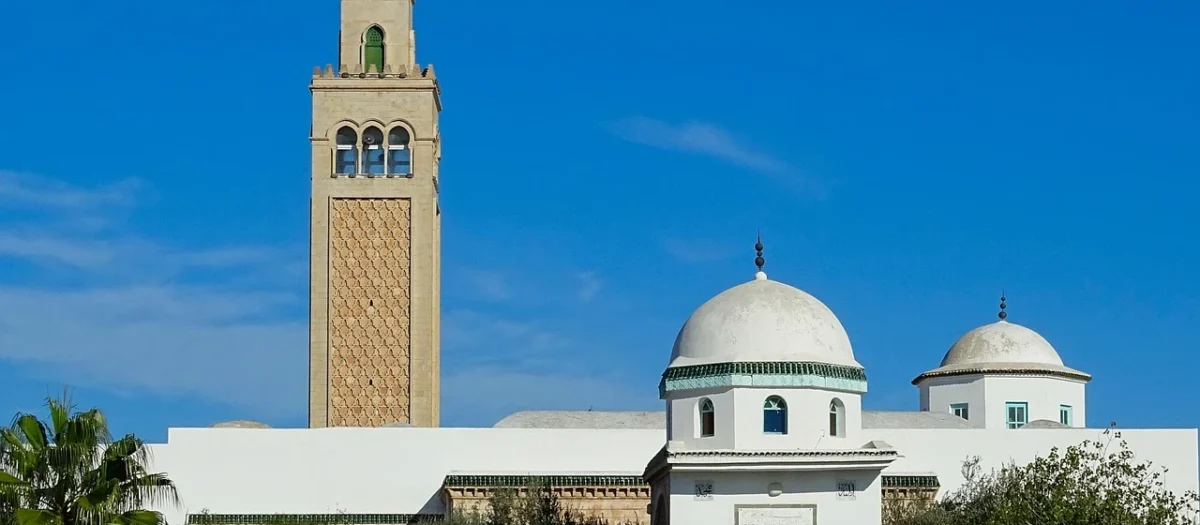 NDPhome Tunis Mini 140×210