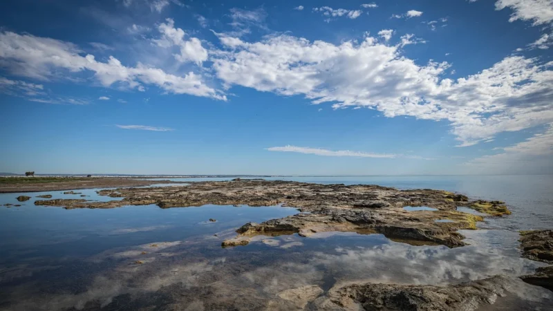 Oceano BAFFINA EUCALYSS 120×200