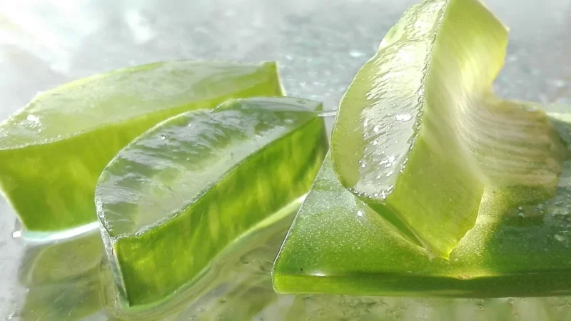 Recticel Medi Aloe 140×200