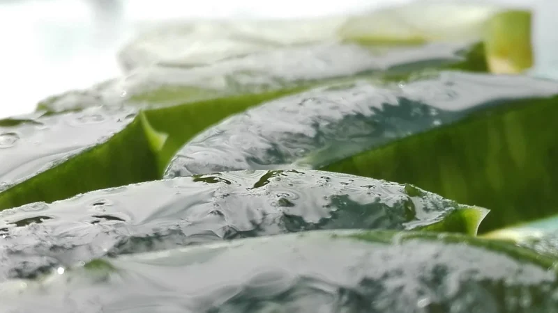 Recticel Medi Aloe 160×200