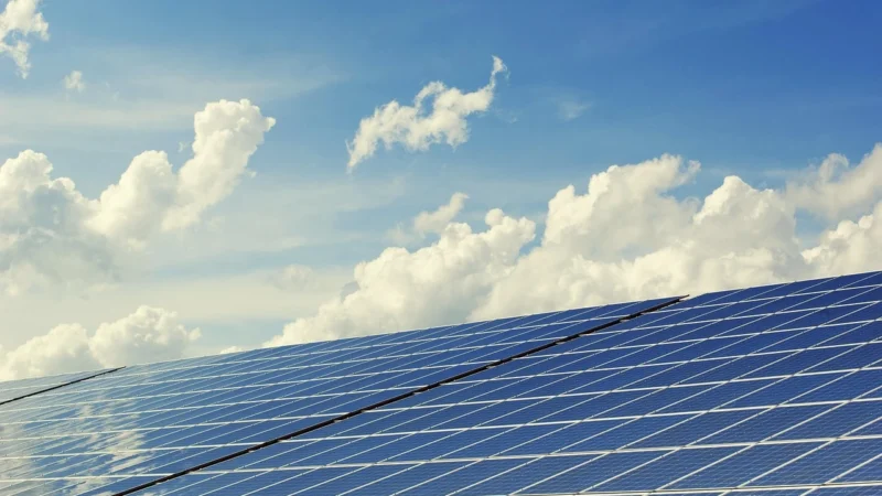 Reolink: opinie i ceny kamer bezprzewodowych i solarnych
