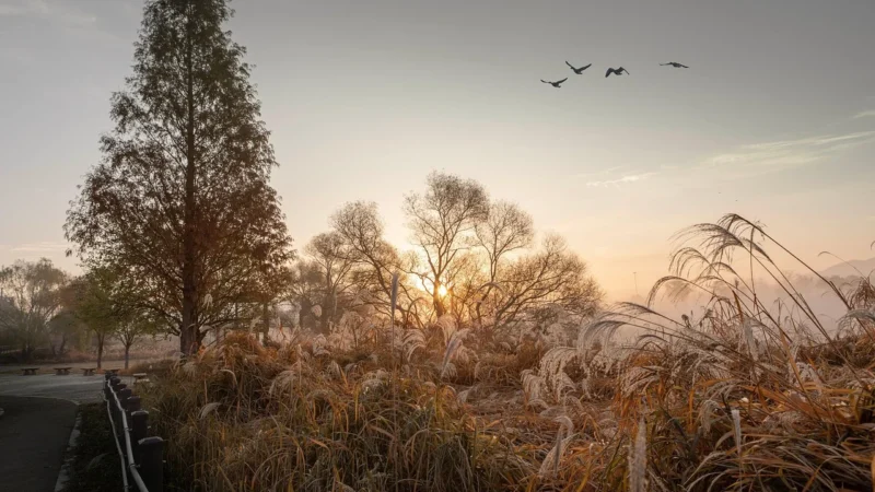 Sleep O’Clock Sunrise H2 90X200