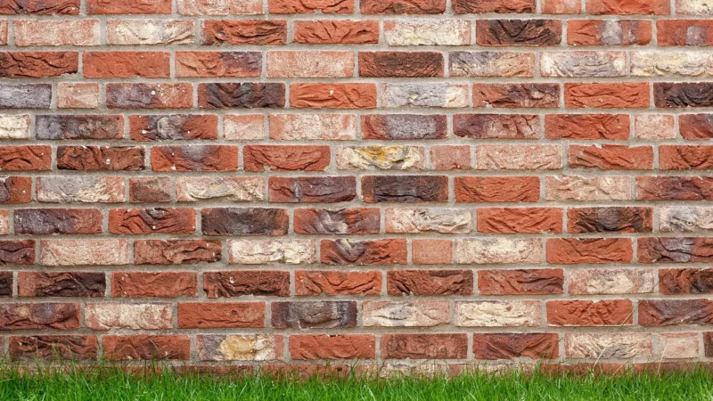 Vidaxl Lustro Ścienne Do Ogrodu 50X80 Cm Czarne